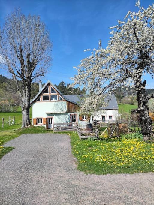 La Maison Dans Les Pres Labaroche Extérieur photo